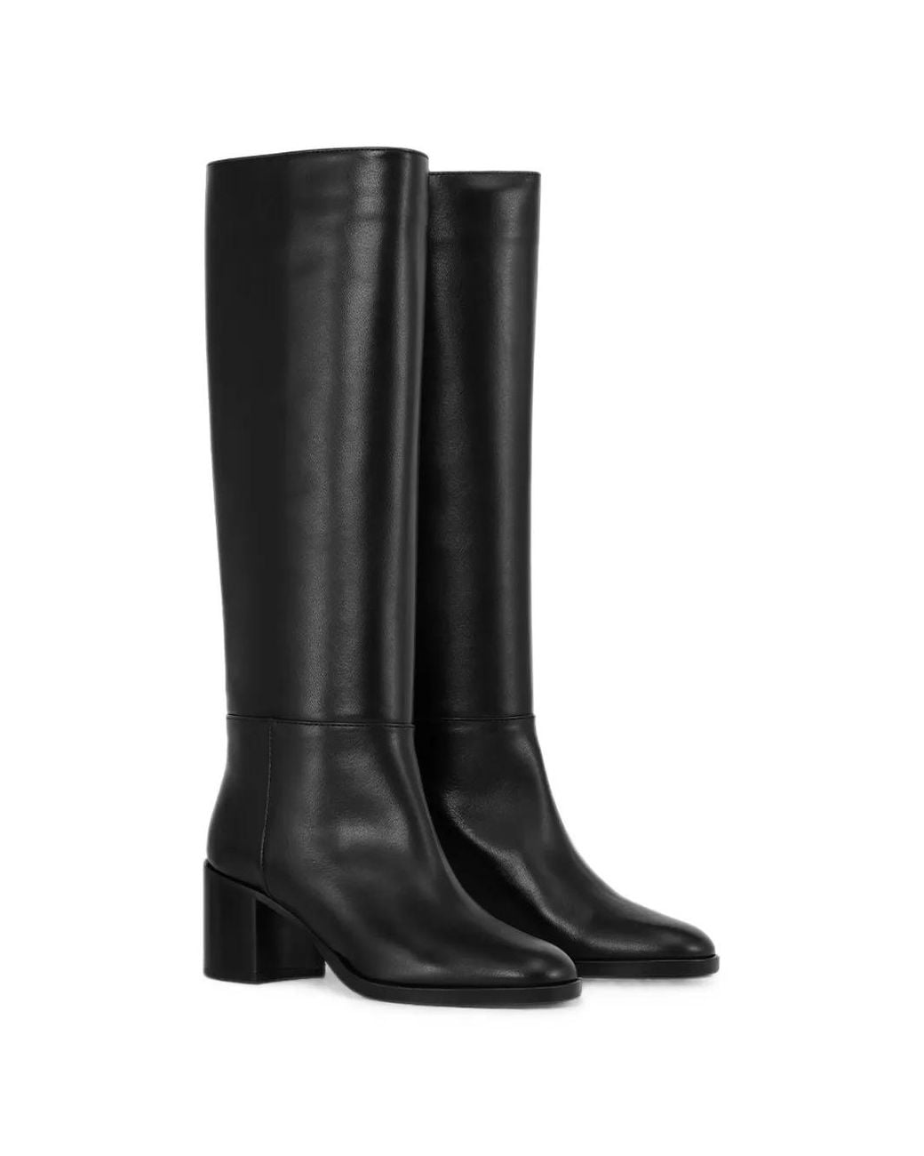 Notabene Black Celeste Knee-High Boots