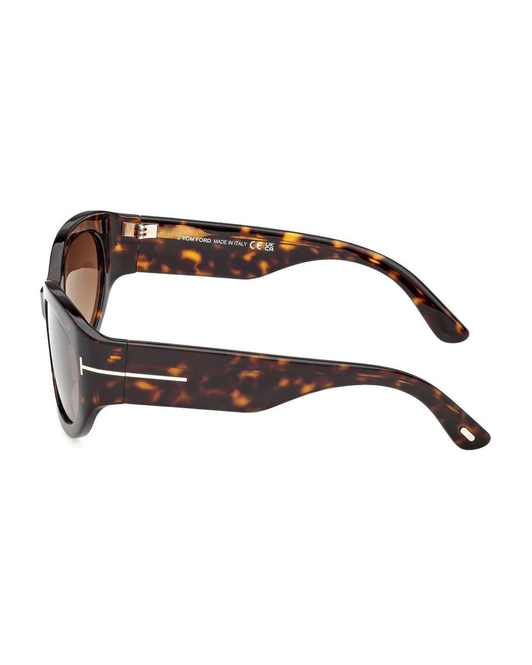 Tom Ford Brown Arizona Sunglasses