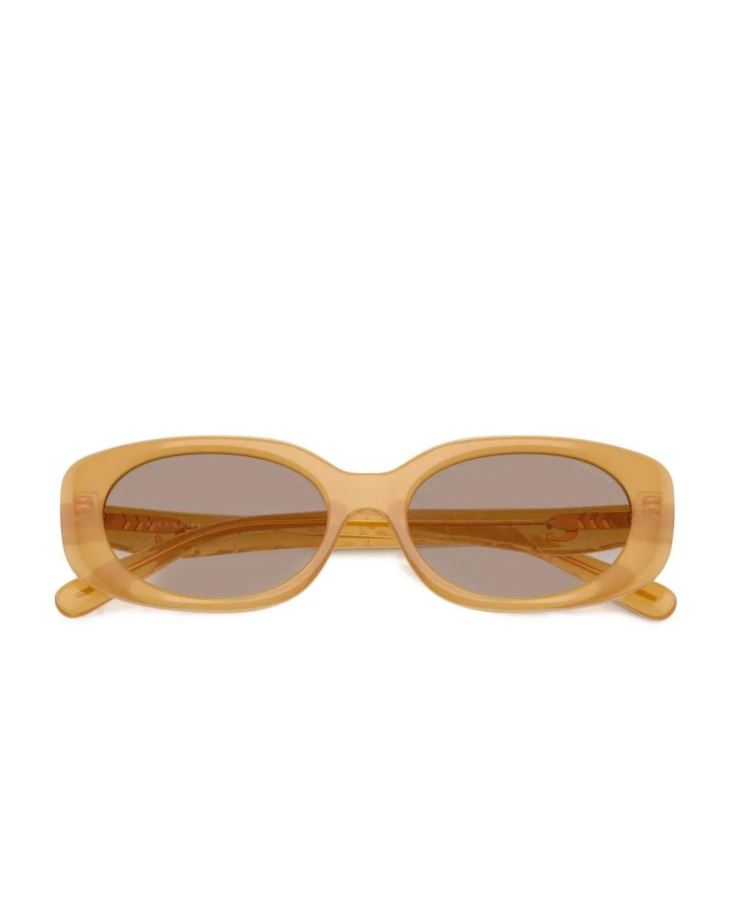 COACH Natural Oval-Frame Logo Sunglasses