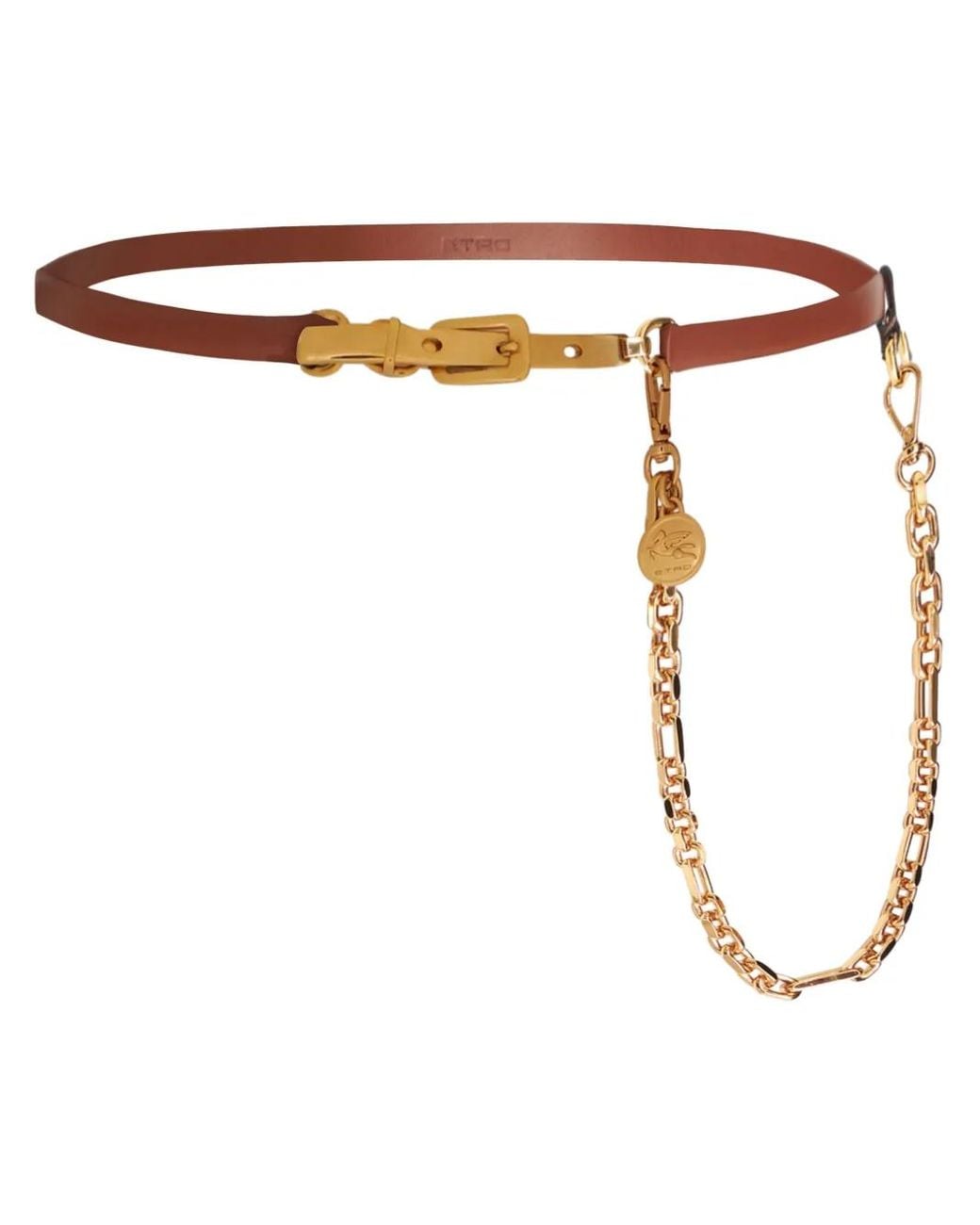 Etro Brown Pegaso-Medallion Chain Leather Belt
