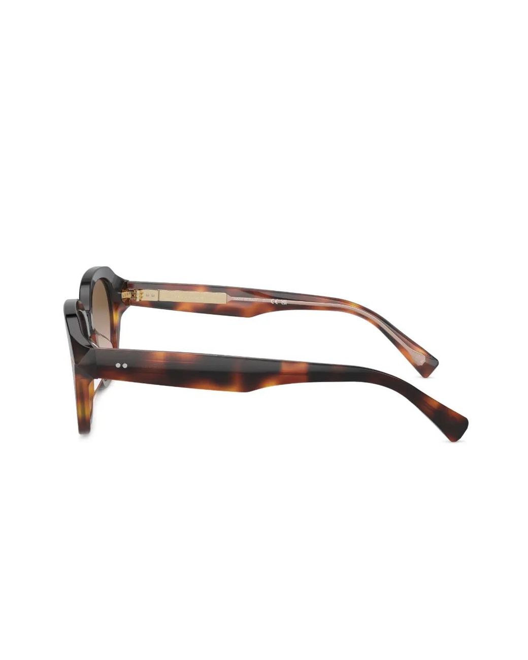 Brunello Cucinelli Brown Bc4004S Round-Frame Sunglasses