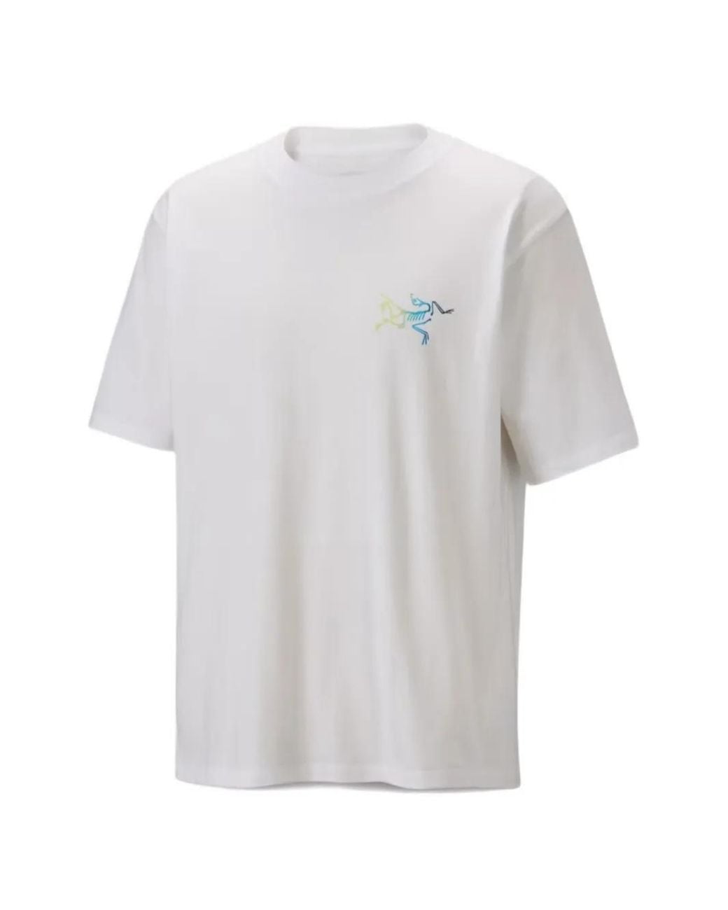 Arc'teryx White Kragg Logo-Print T-Shirt for men