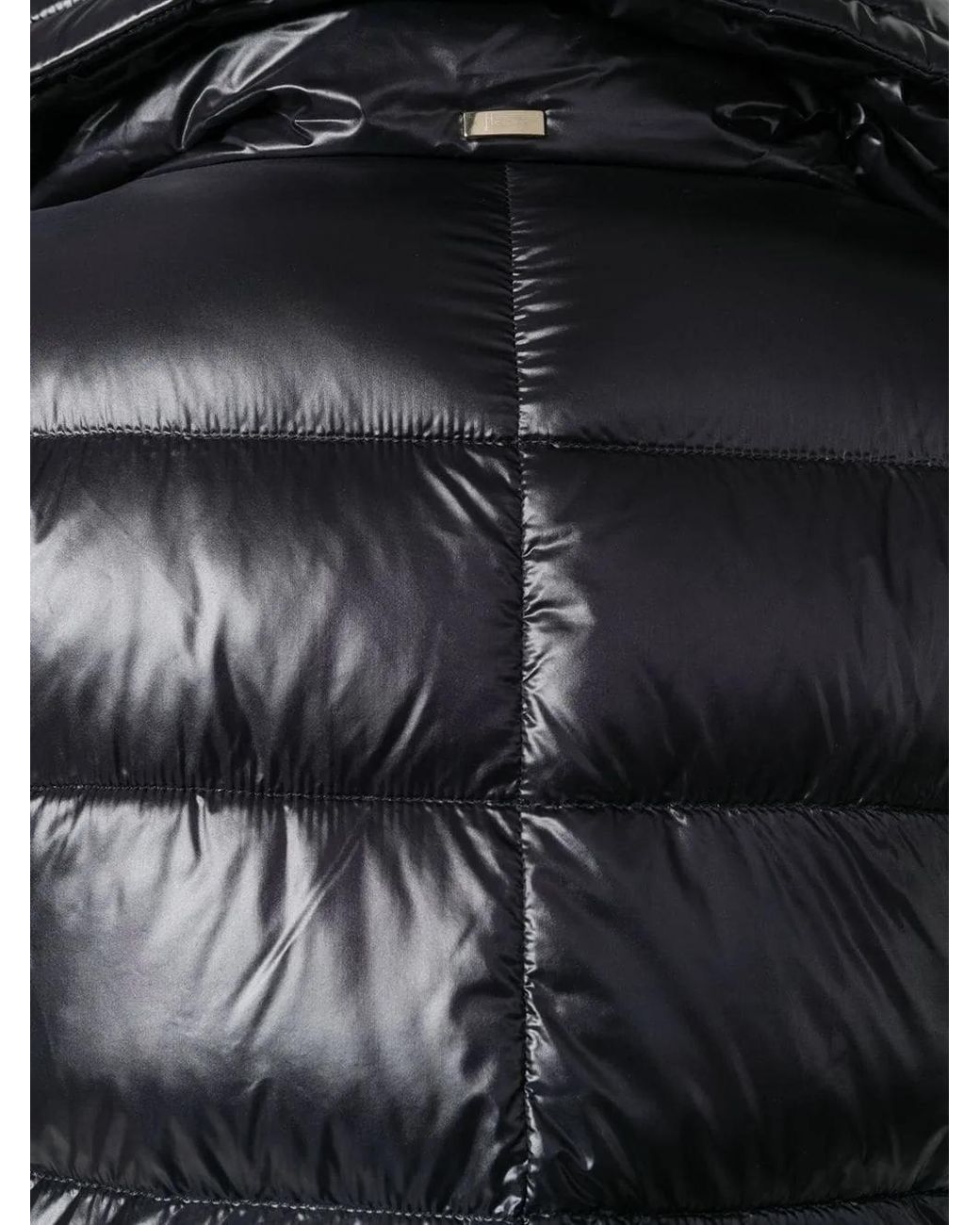Herno Black Coats