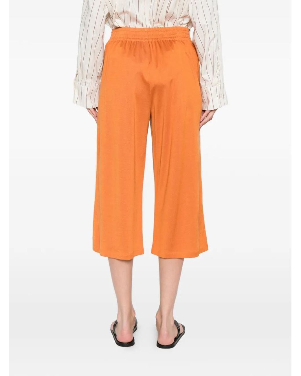 6397 Orange Button Side Shorts