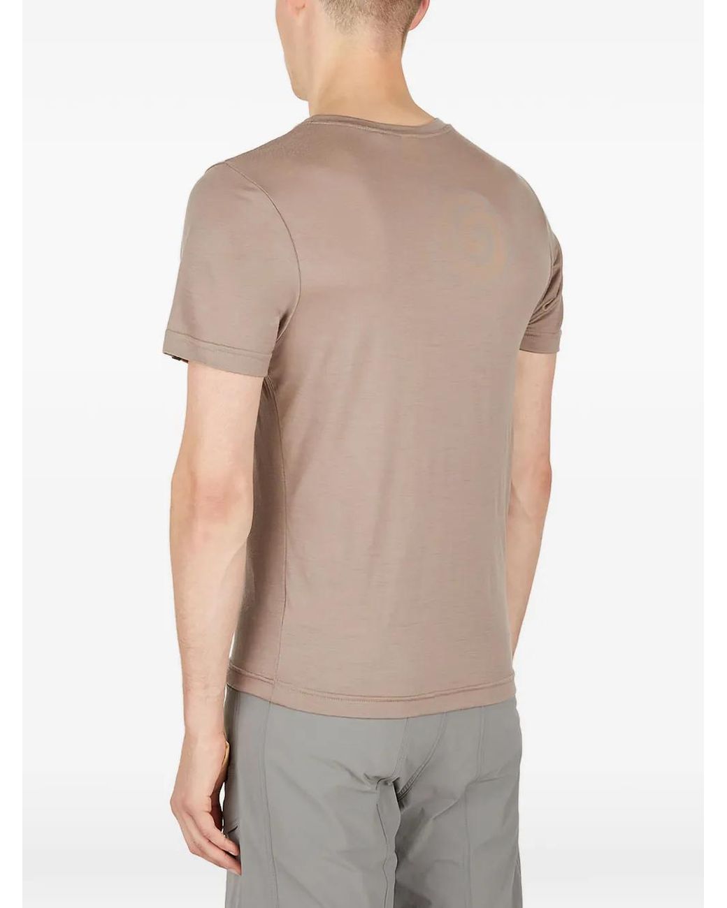 Ostrya Gray Crew-Neck T-Shirt for men