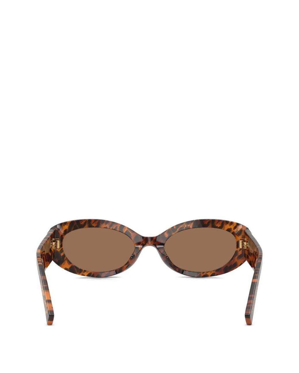 Dolce & Gabbana Brown Leopard-Print Oval-Frame Sunglasses
