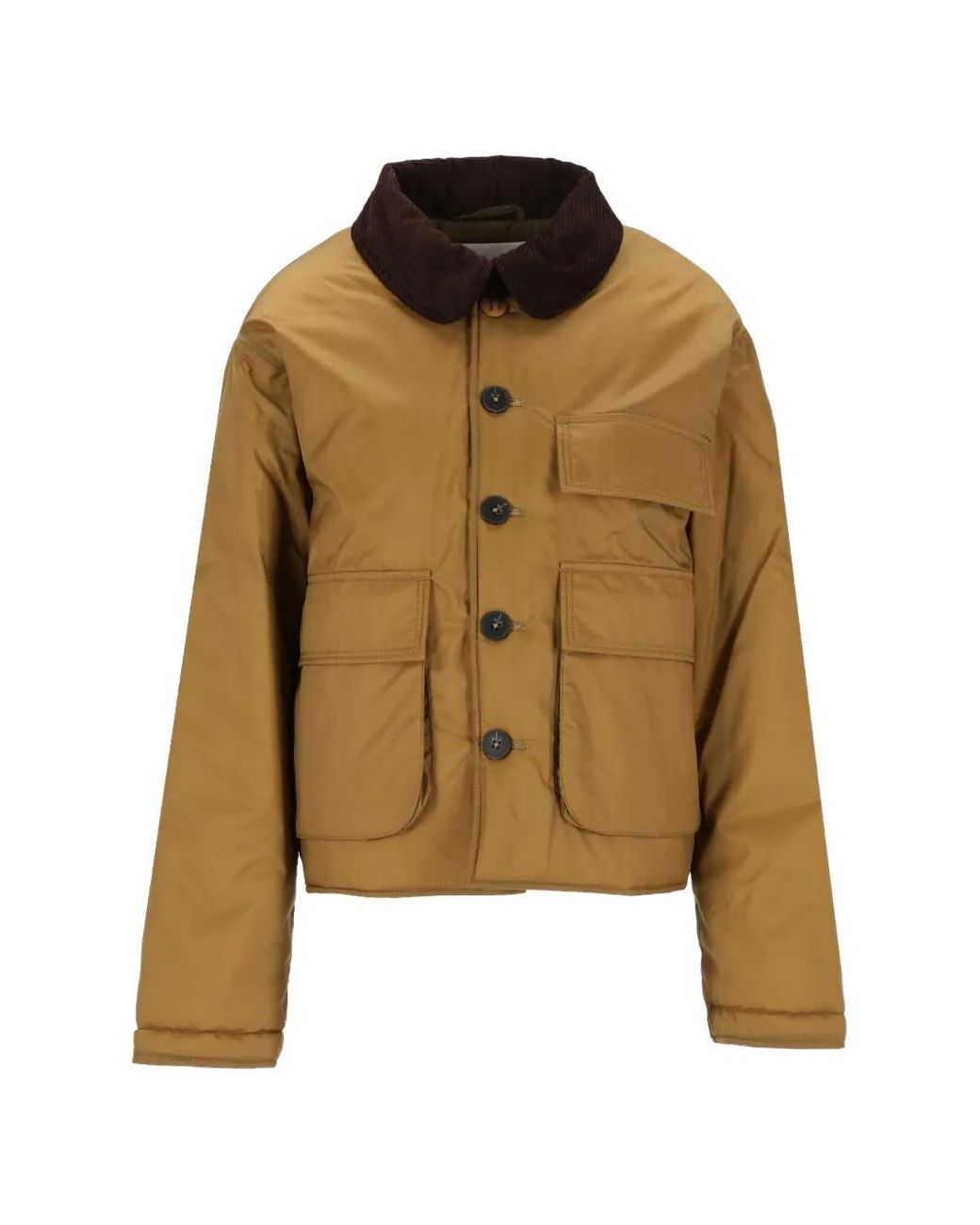 Forte_forte Metallic Corduroy-Collar Cropped Jacket