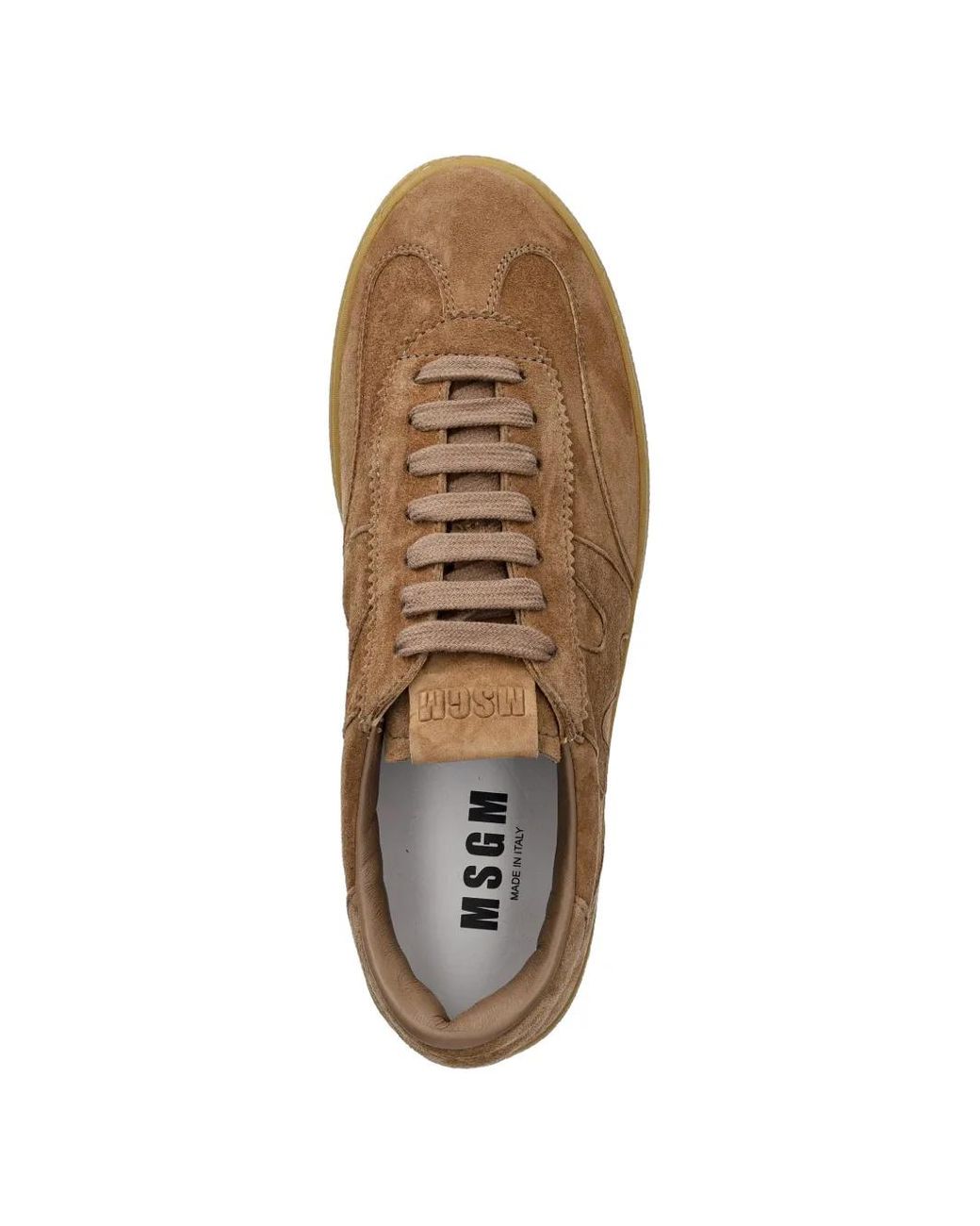 MSGM Multicolor Suede Sneakers