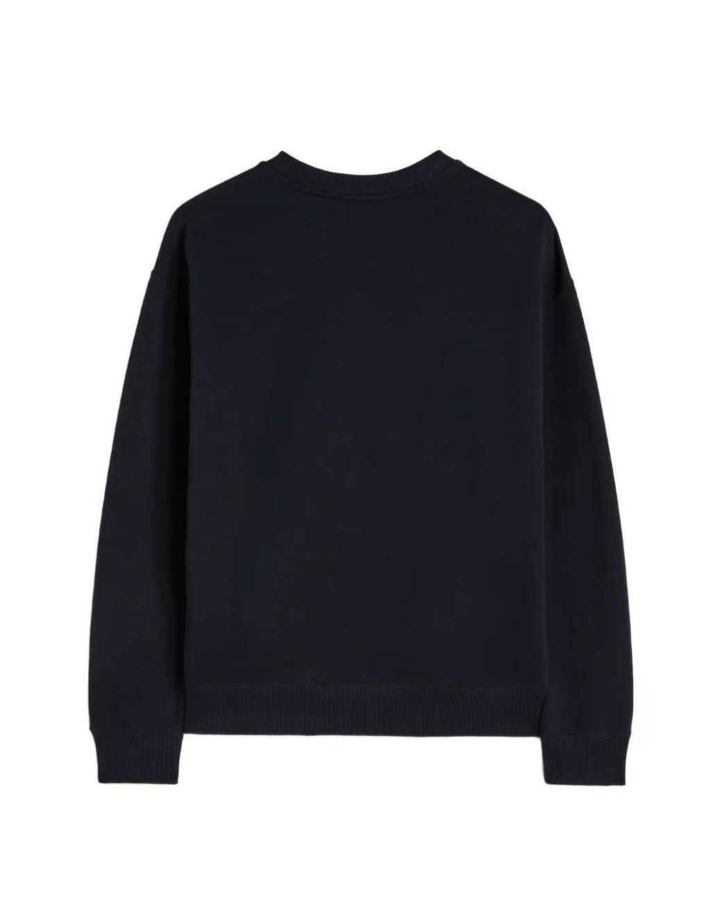 Jil Sander Blue Cotton Terry Crew-Neck Sweatshirt