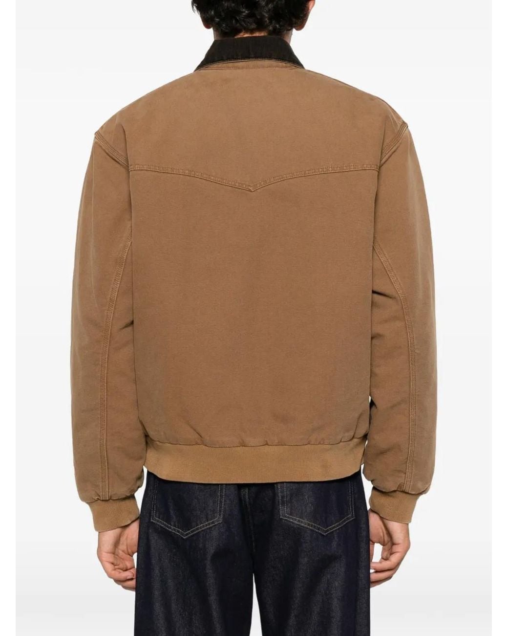 Carhartt Brown Organic Dearborn Canvas Padded Jacket for men