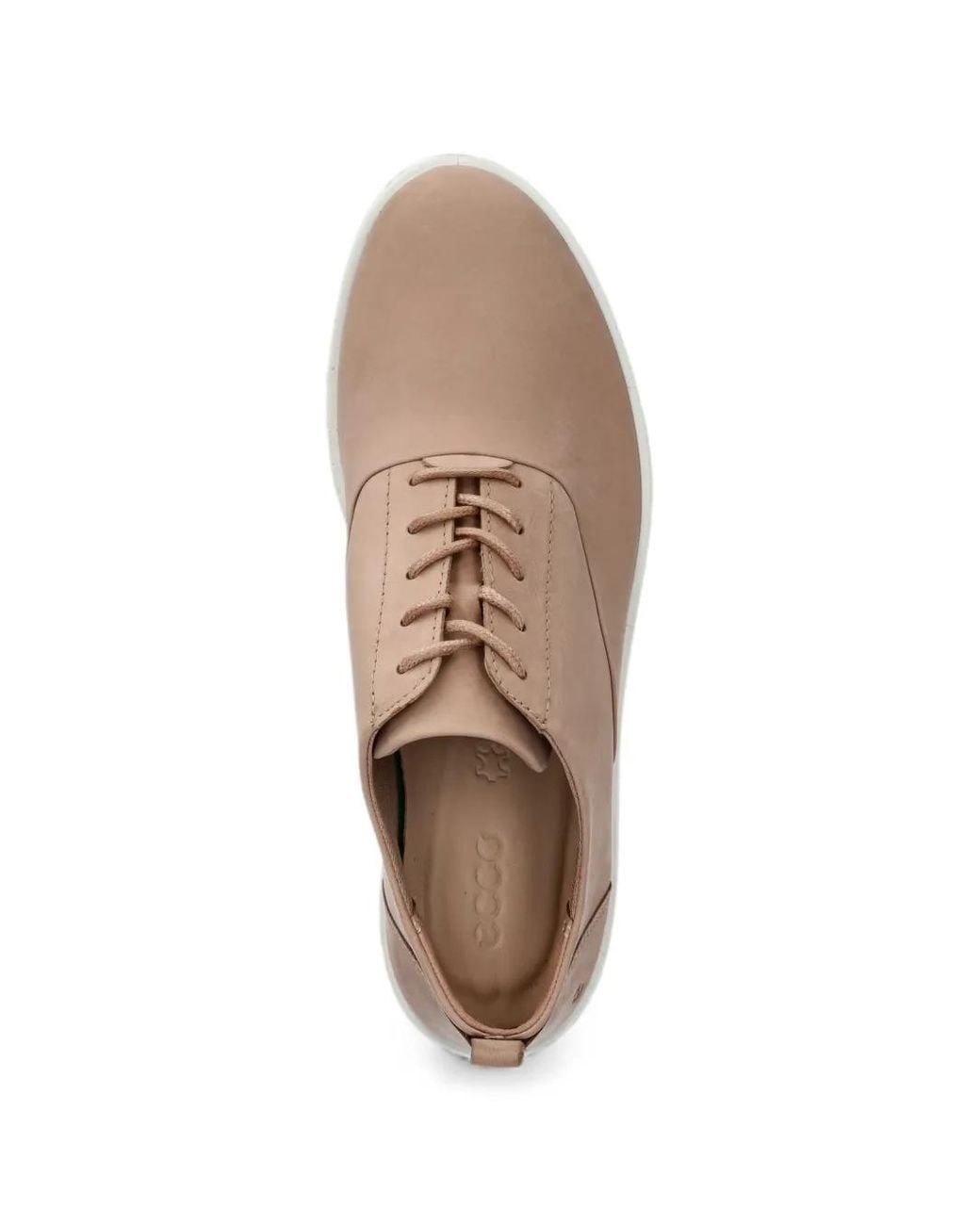 Sneakers di Ecco in Brown