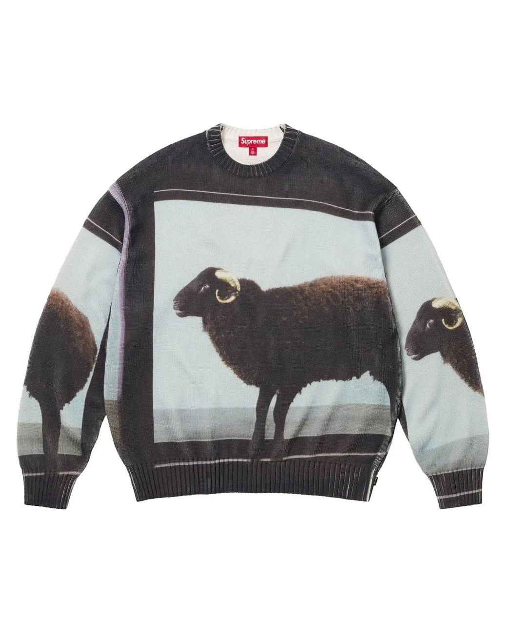 Supreme Gray X Damien Hirst Intarsia-Knit Sweater for men