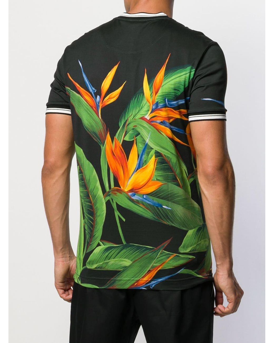 Dolce & Gabbana Bird Of Paradise Plant T-shirt in Black for Men | Lyst