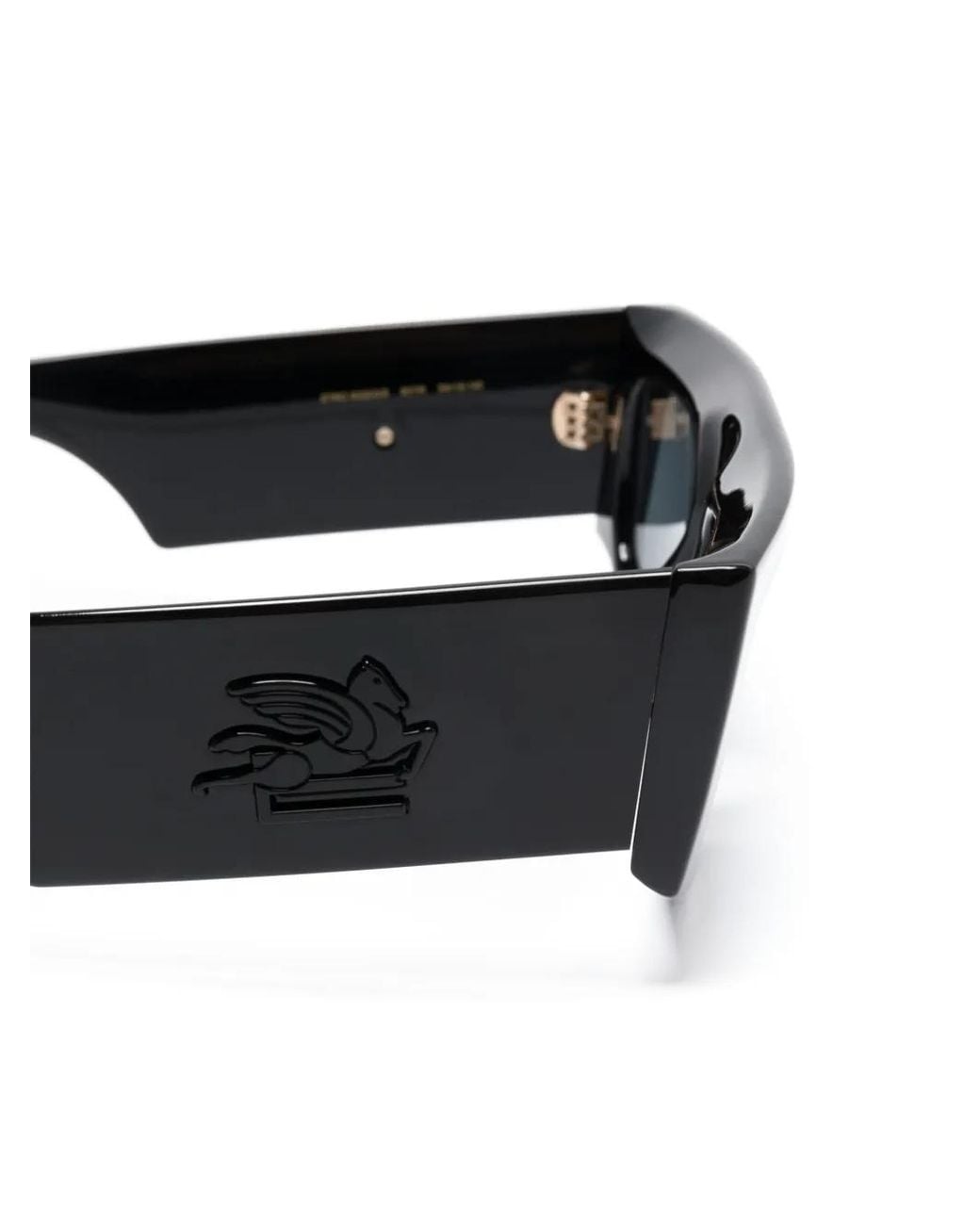 Etro Gray Screen Sunglasses