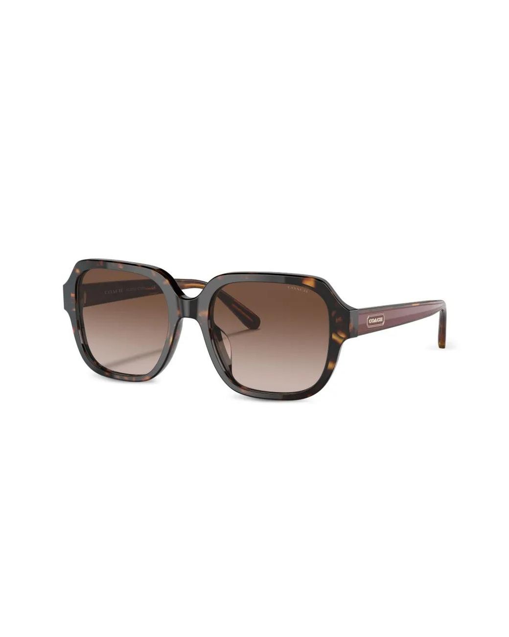 COACH Brown Hc8335U C7989 Square-Frame Sunglasses