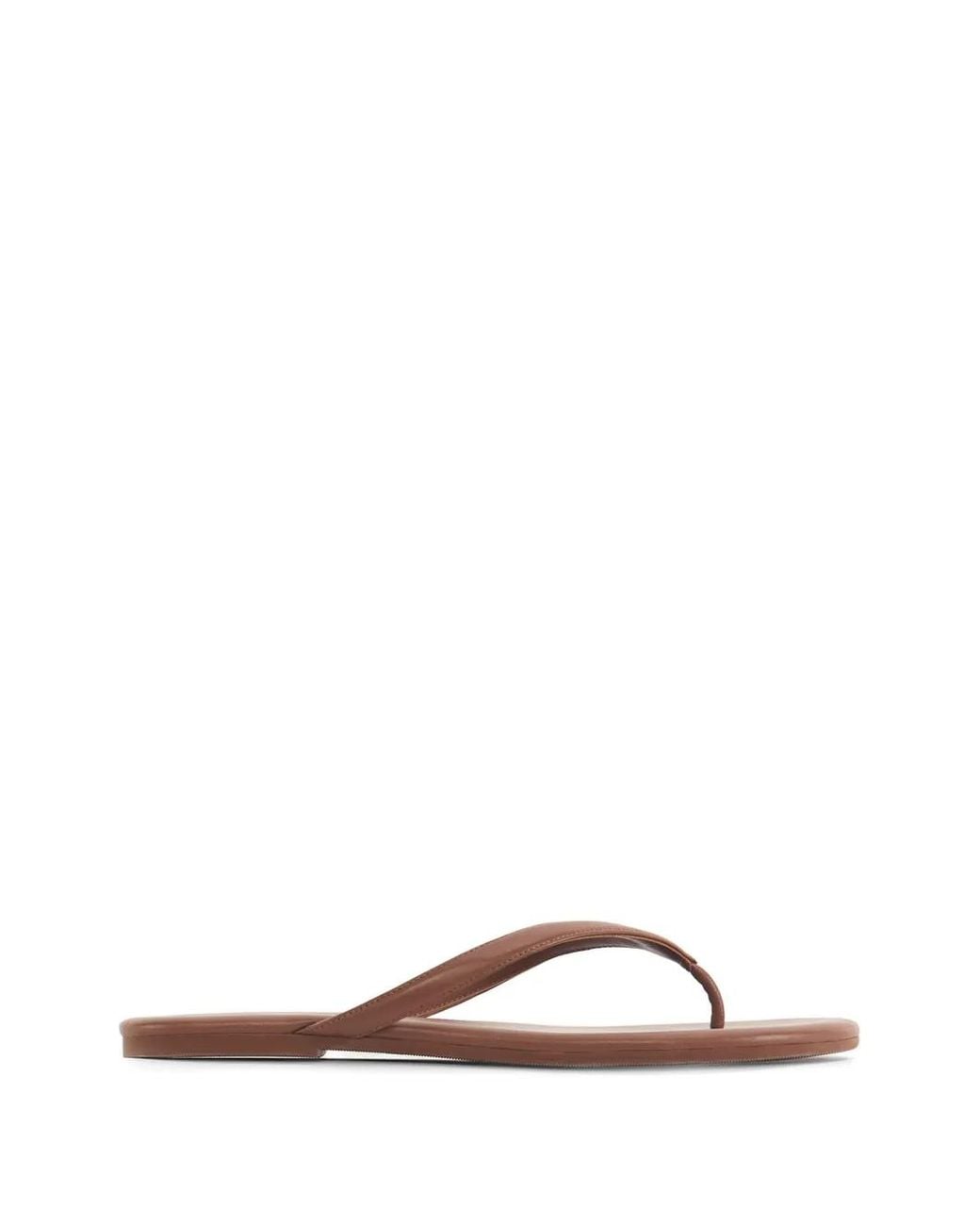 12 STOREEZ Brown Jennifer Thong Sandals