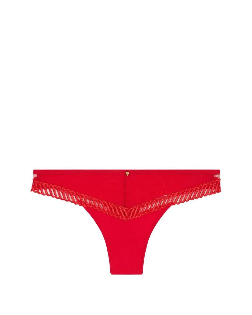 Aubade Sheer Emotion Embroidered Briefs