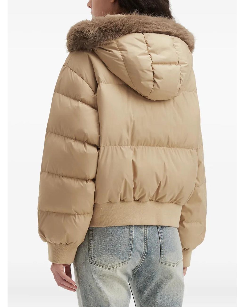 B+ AB Natural Hooded Puffer Jacket