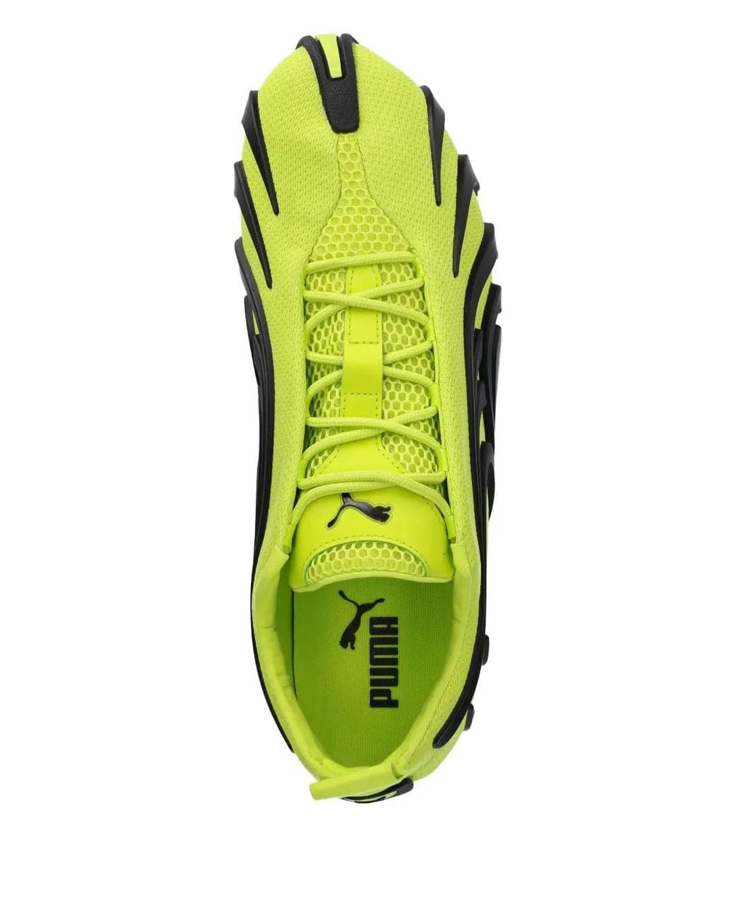 Baskets Talon Og PUMA en coloris Green