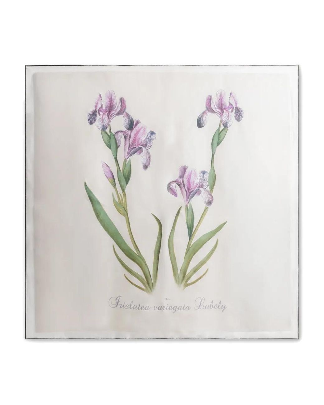 Alberta Ferretti White Floral Silk Scarf