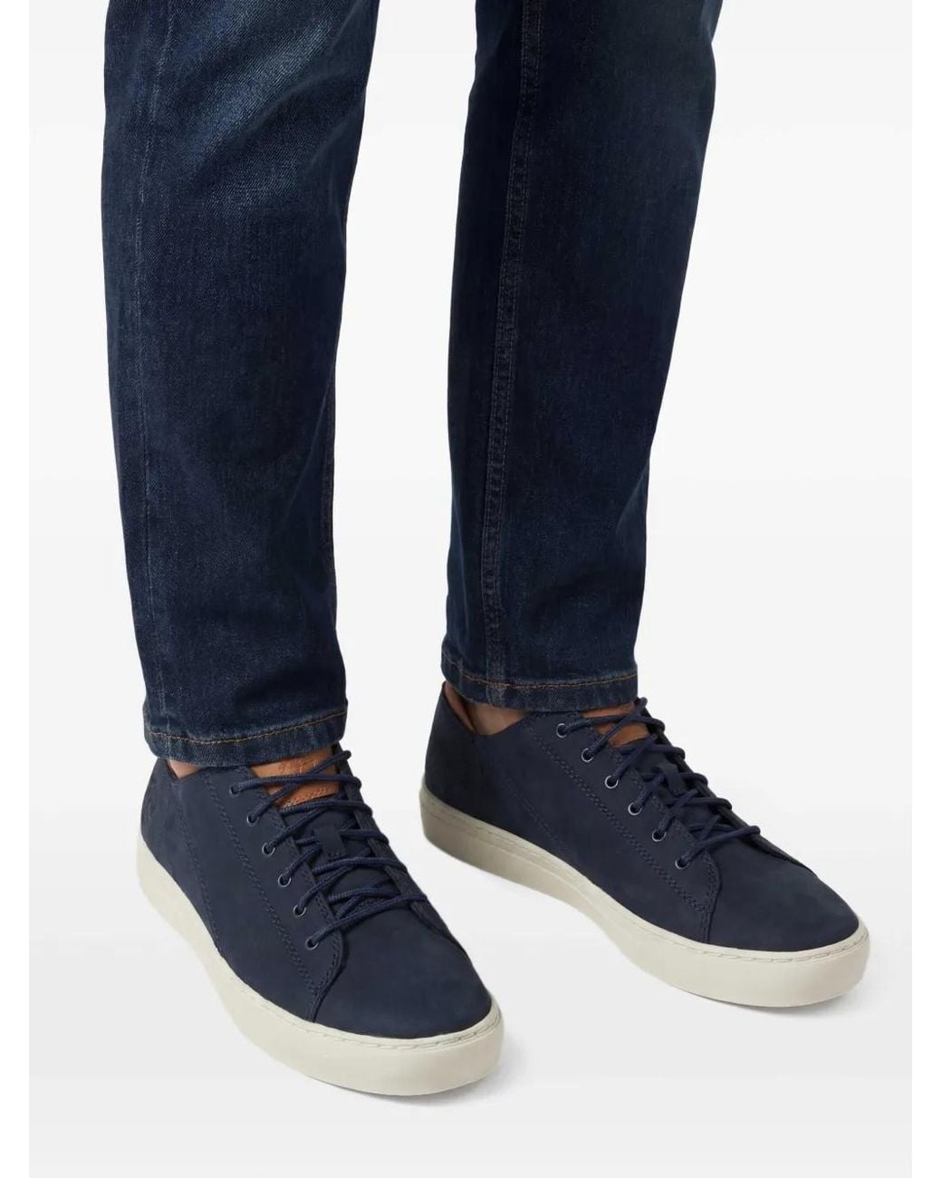 Timberland Blue Sneakers With Logo for men
