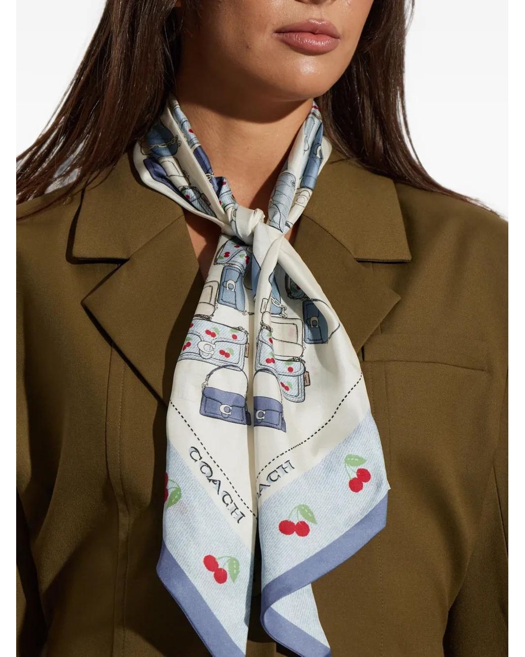 Sciarpa Con Stampa di COACH in Blue