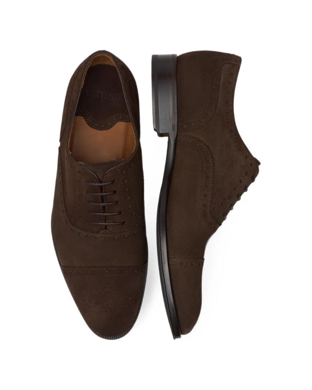 Lottusse Brown Lenox Oxford Shoes for men