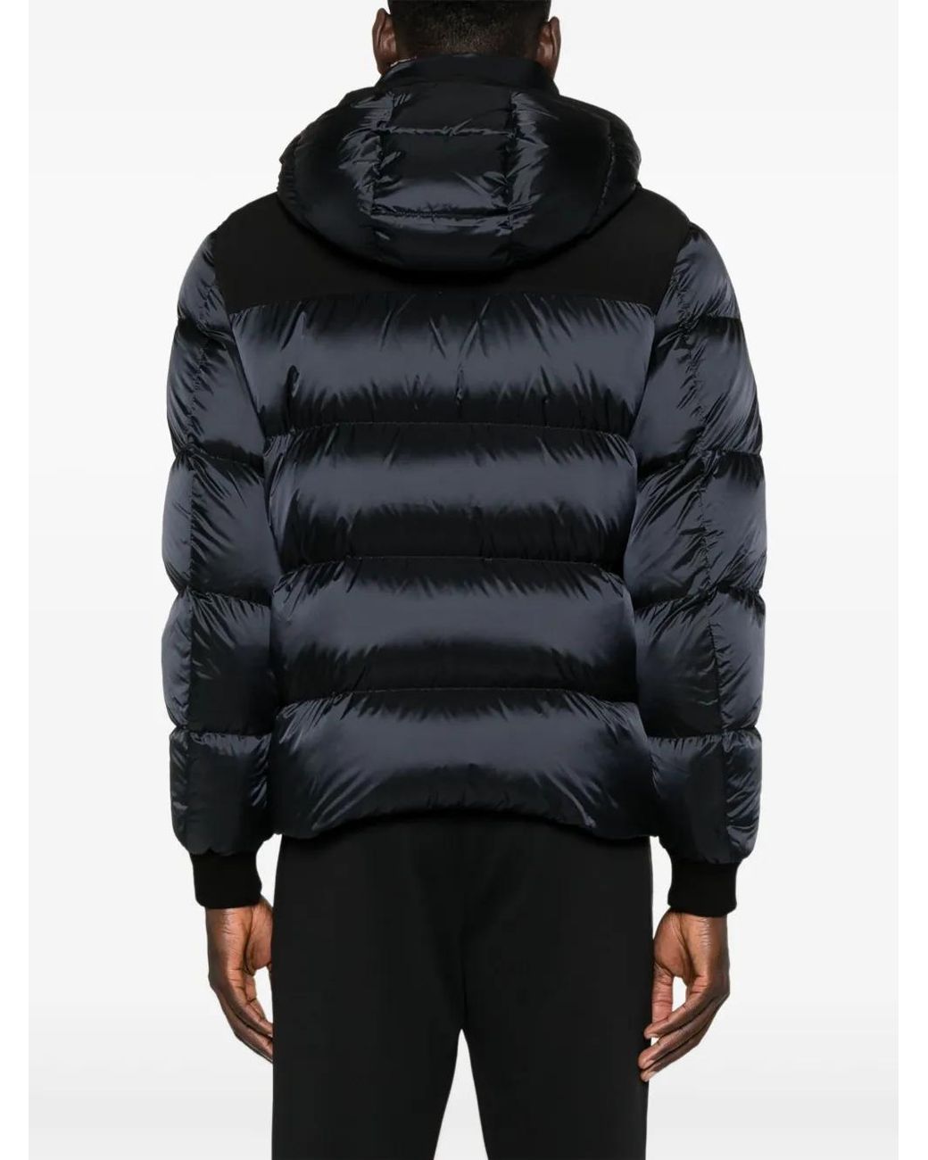 Moorer Black Jake-Shk Padded Jacket for men