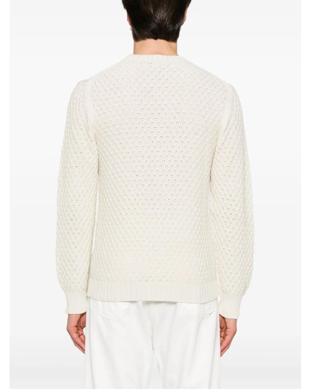 Canali Natural Sweaters for men