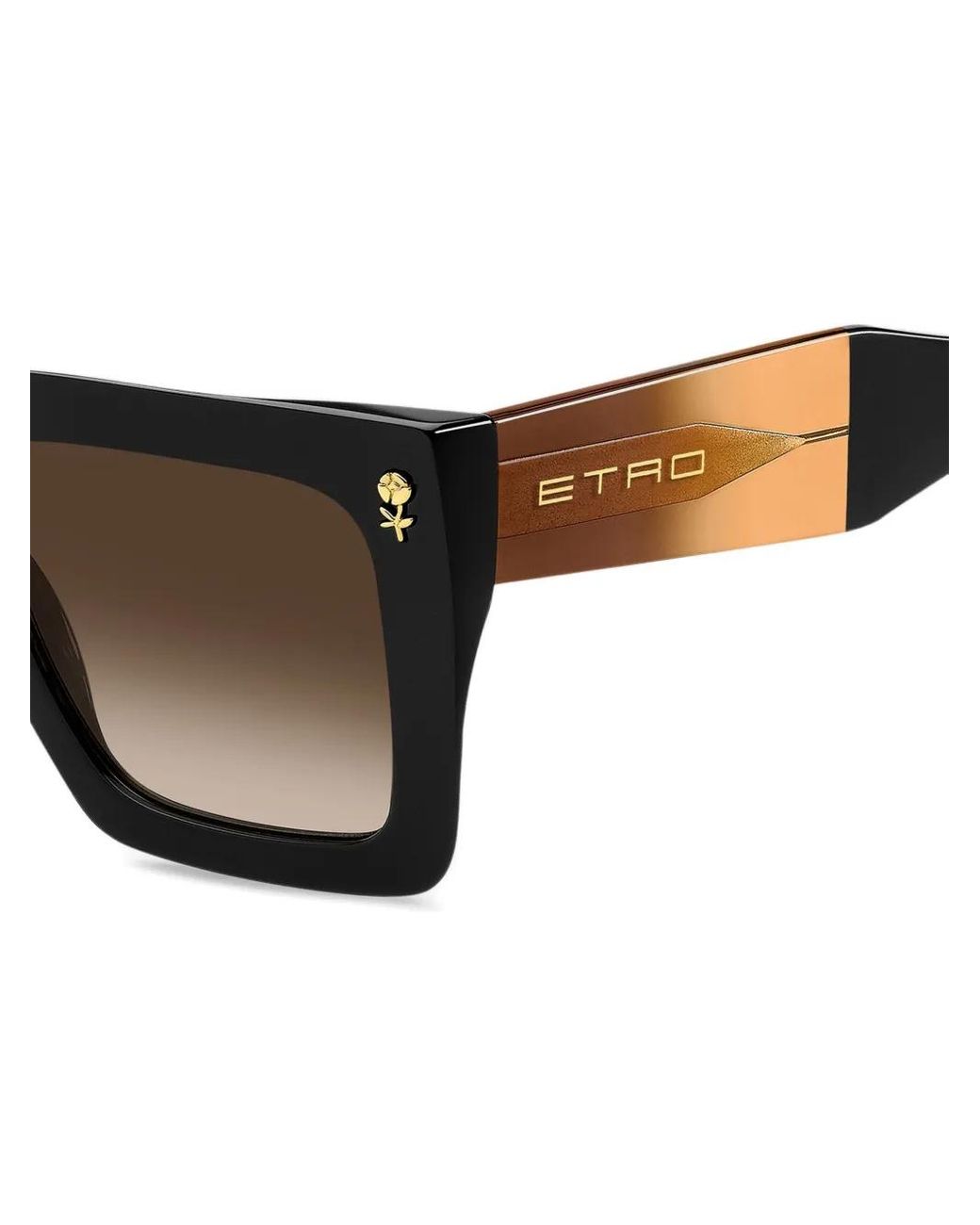 Etro Black Colour Stripes Sunglasses