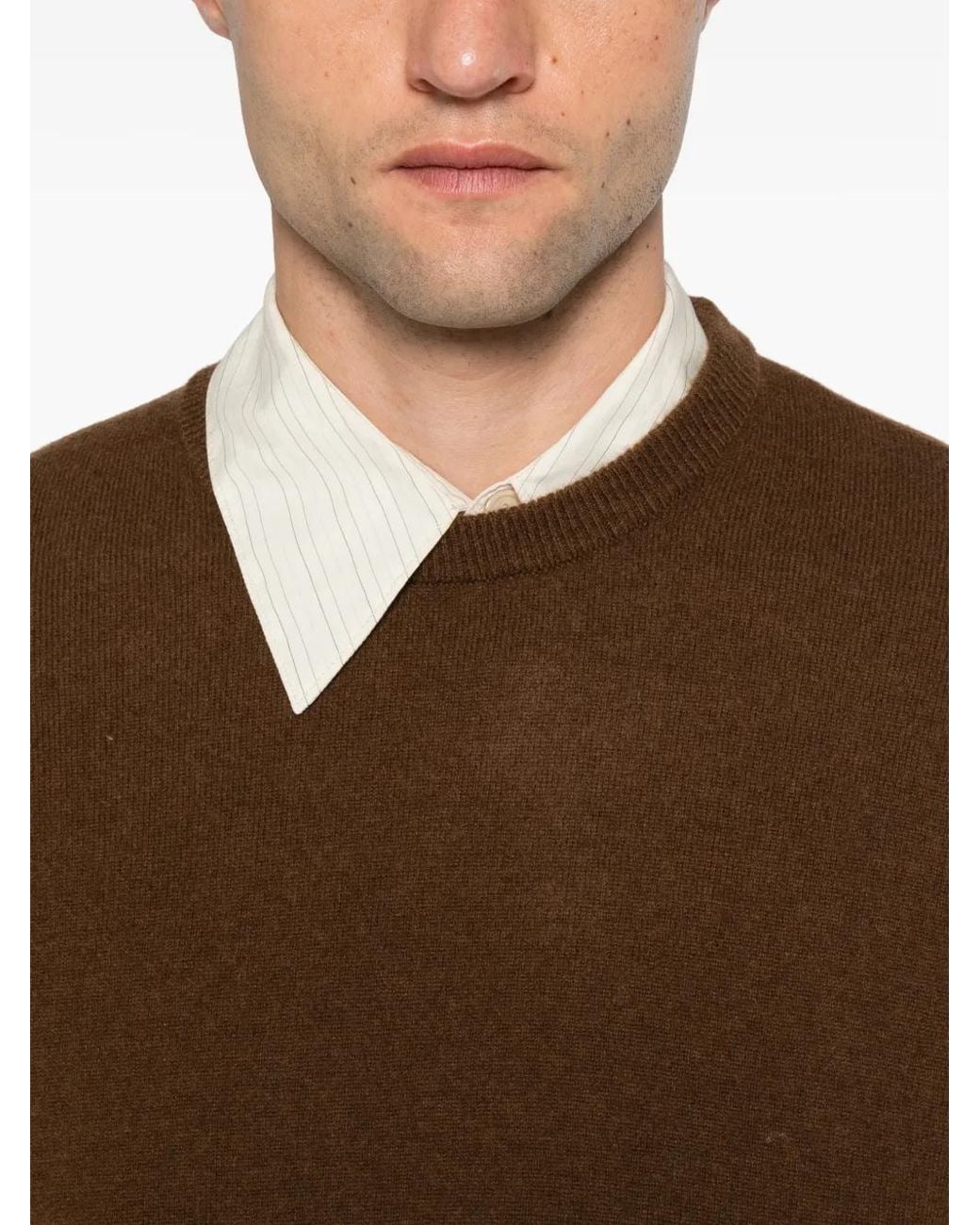 Entire studios Brown Crew-Neck Ribbed-Trim Sweater