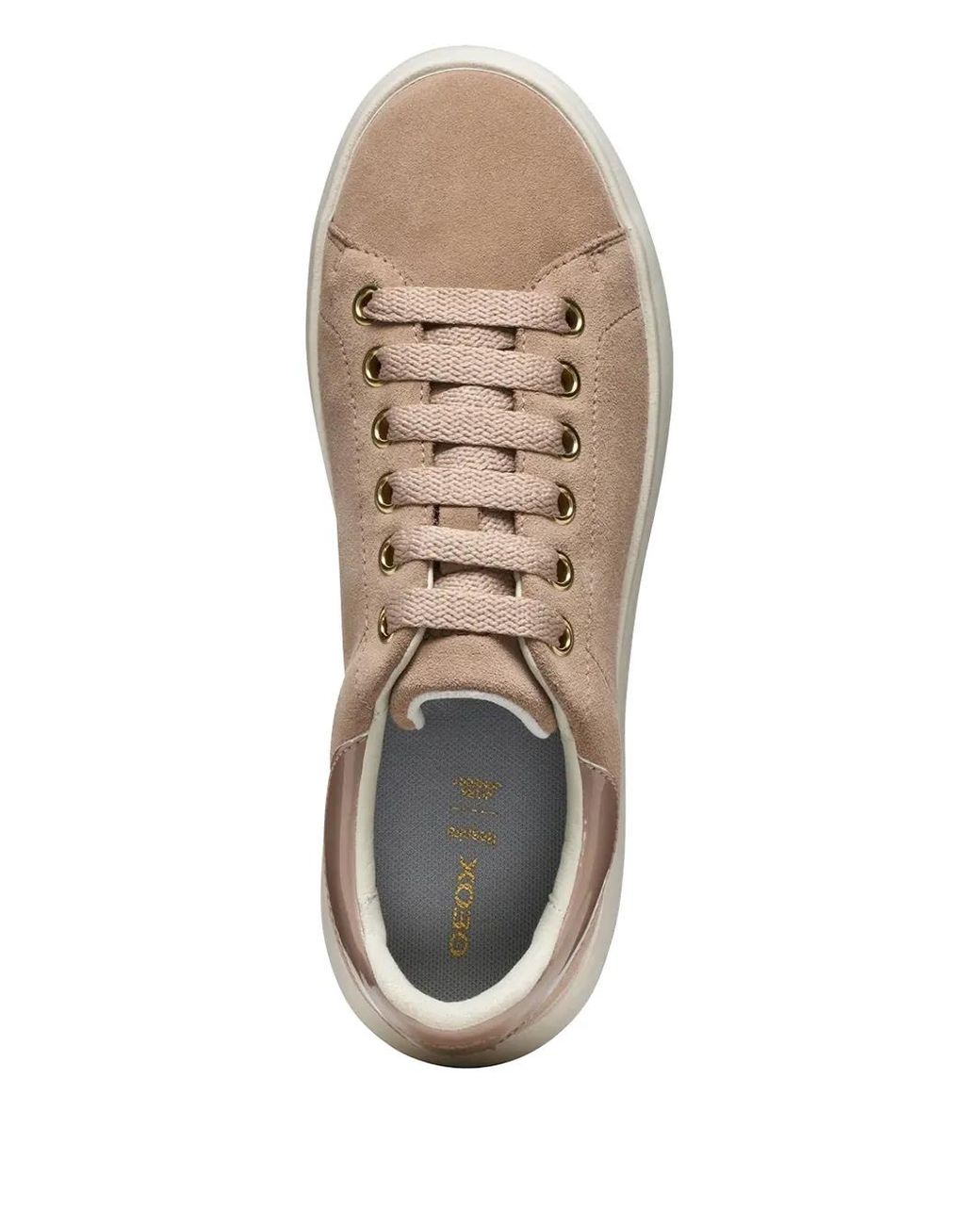 Geox Brown 50Mm Spherica Ec4.1 Sneakers