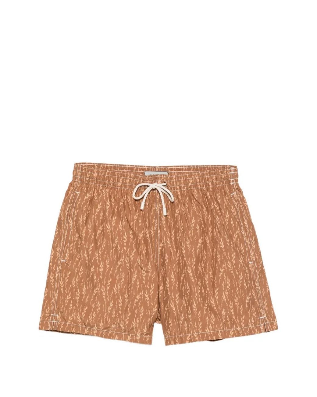 Canali Brown Leaf-Print Swim Shorts for men