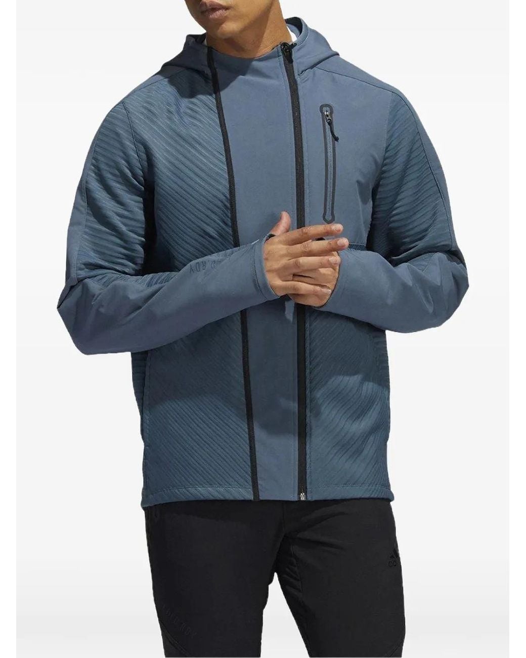 Adidas Blue Training Hoodie for men