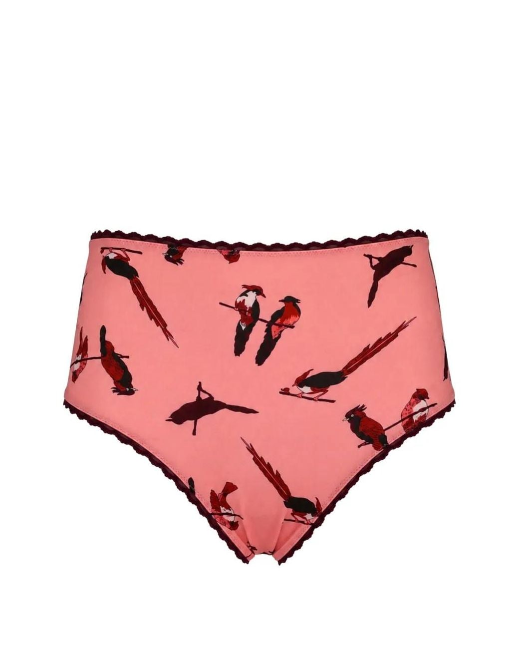 Laura Urbinati Pink Culotte Imprimée À Taille Haute