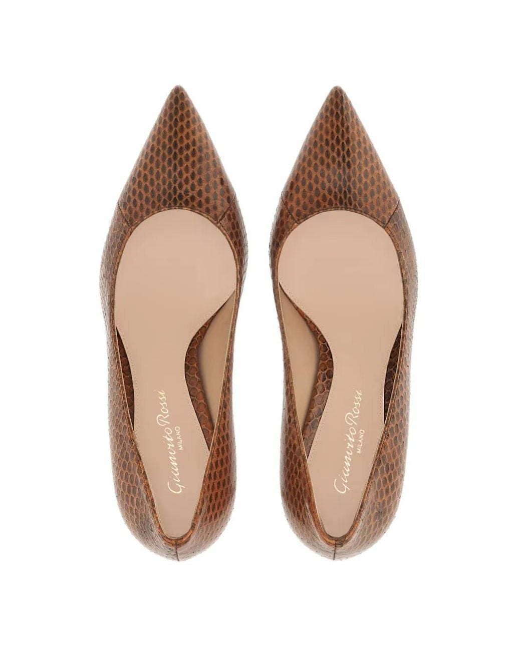 Gianvito Rossi Brown Gianvito 70 Pumps