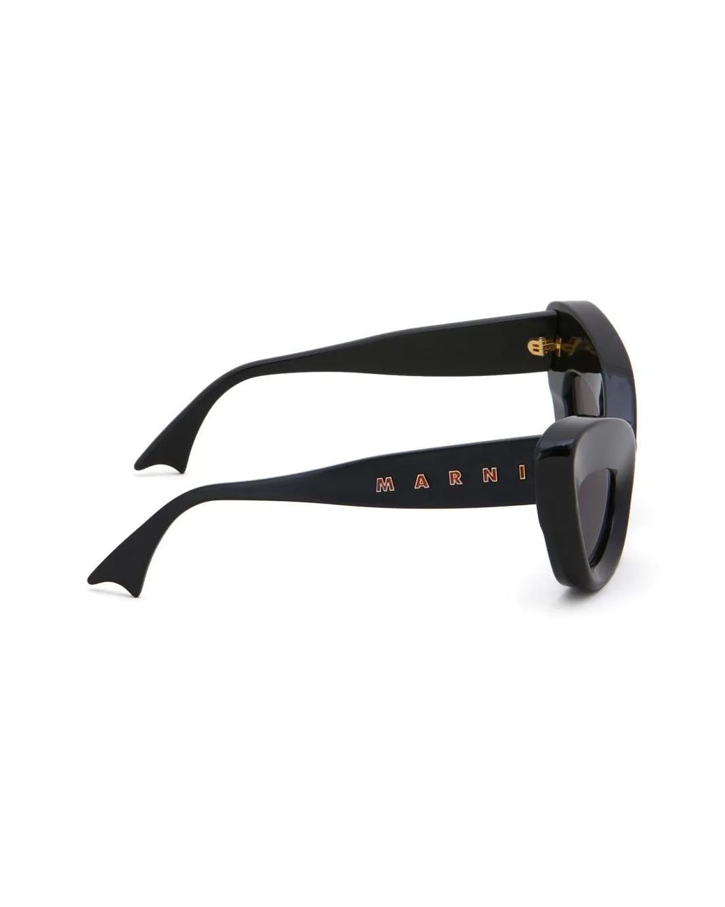 Marni Black Cat-Eye Frame Sunglasses