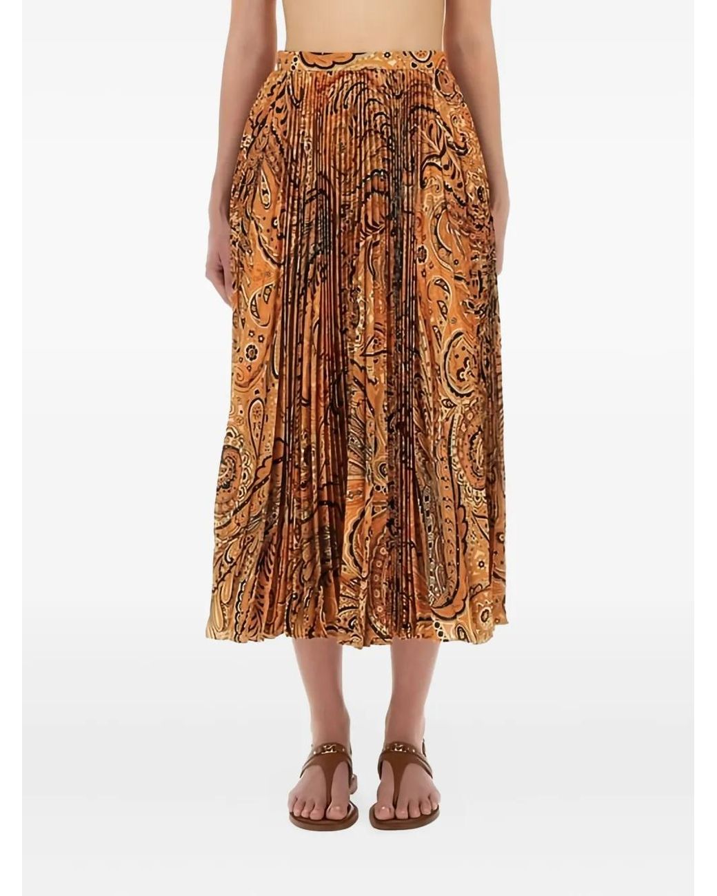 Etro Brown Pleated Sablé Skirt With Print