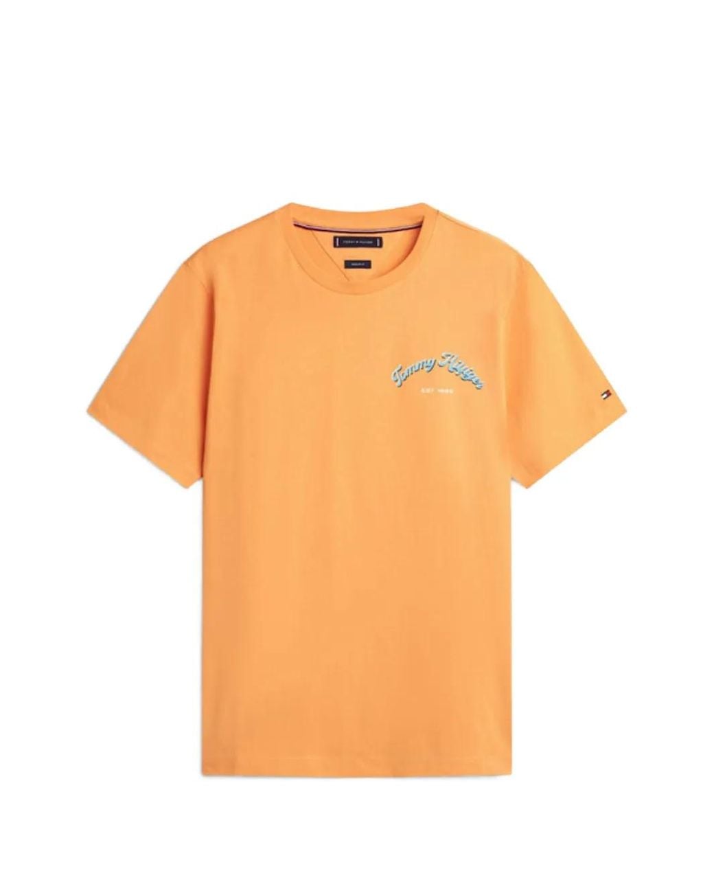 Tommy Hilfiger Orange Graphic-Print T-Shirt for men