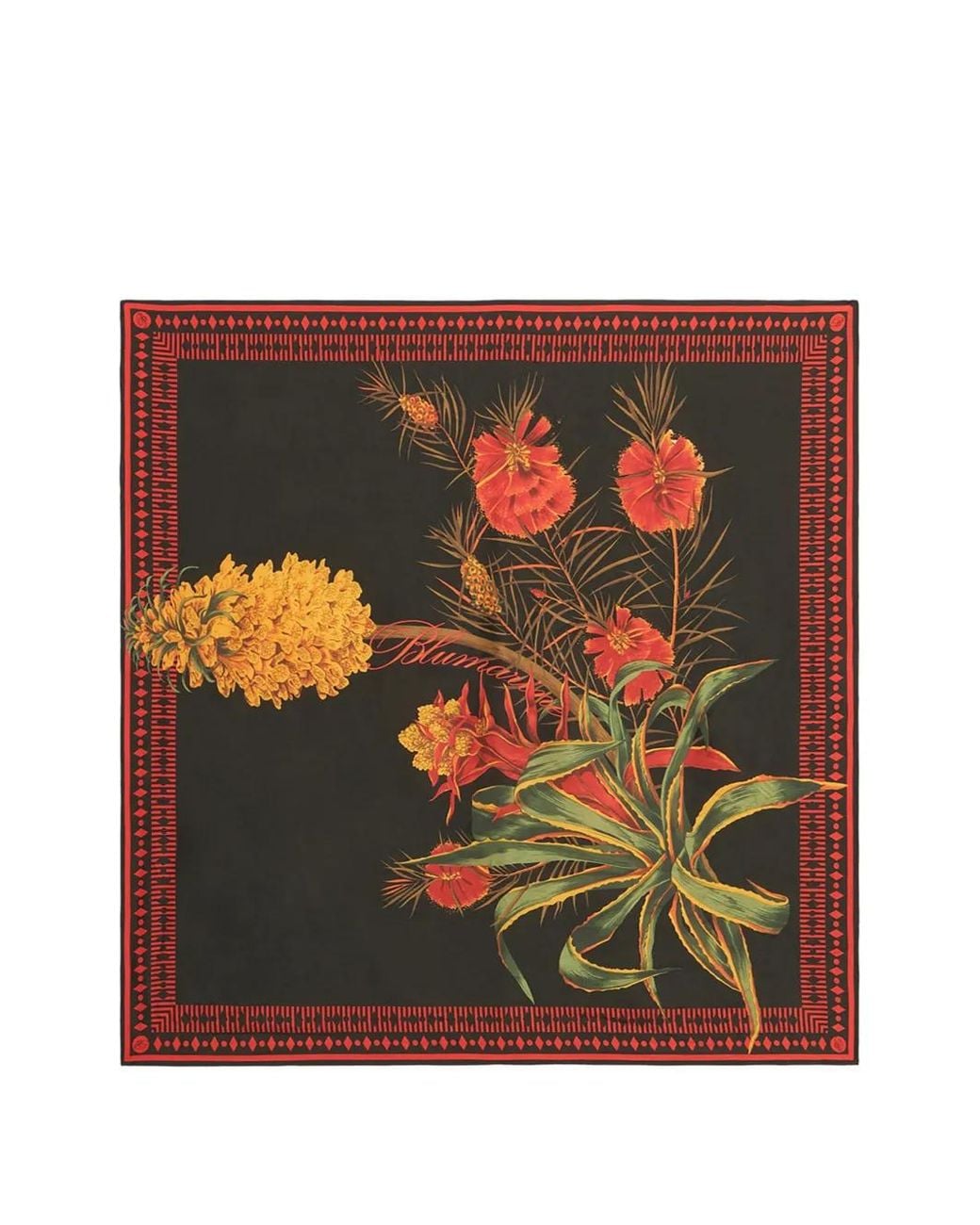 Blumarine Black Floral-Print Scarf