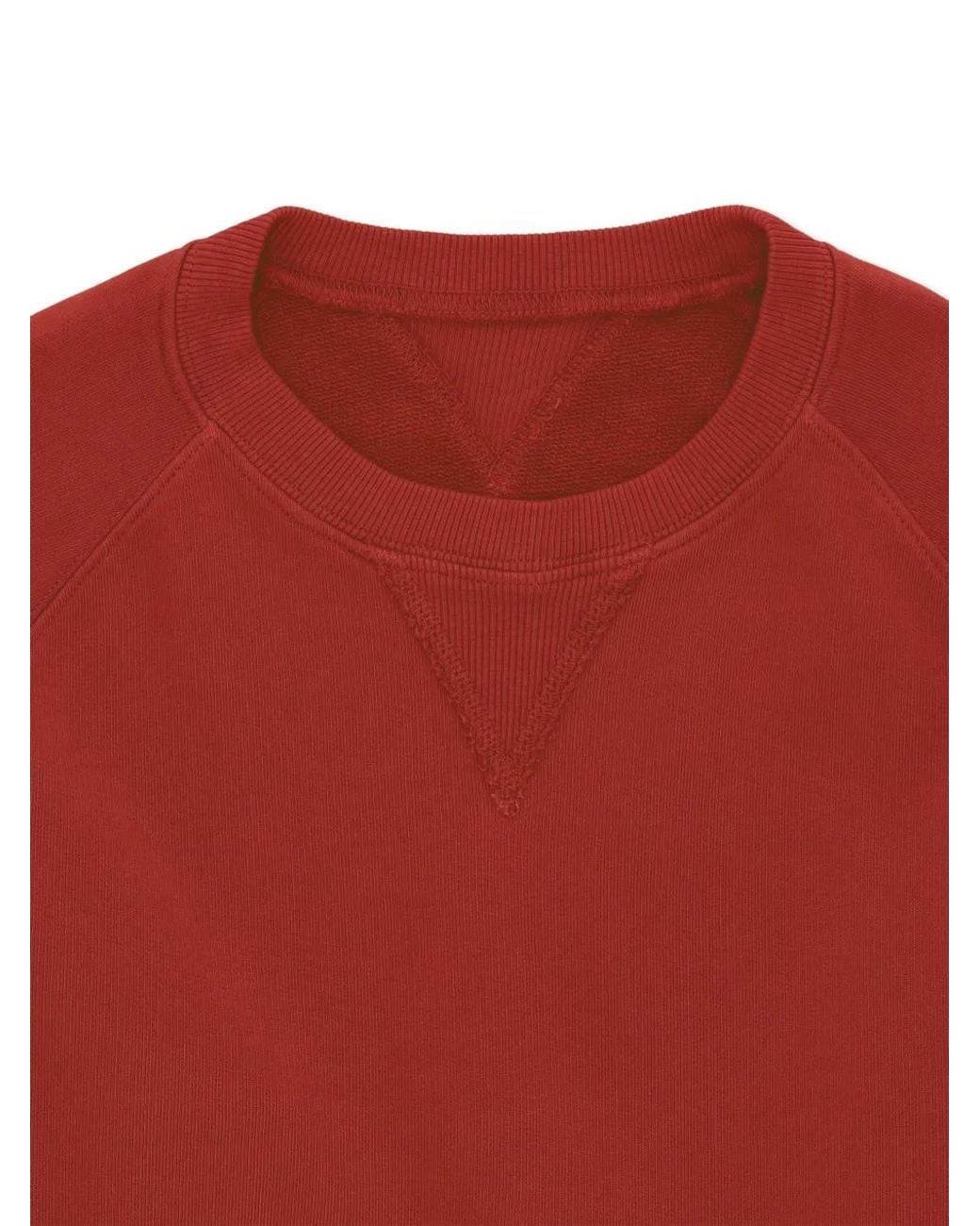 Fortela Red Harvard Raglan-Sleeves Sweatshirt for men