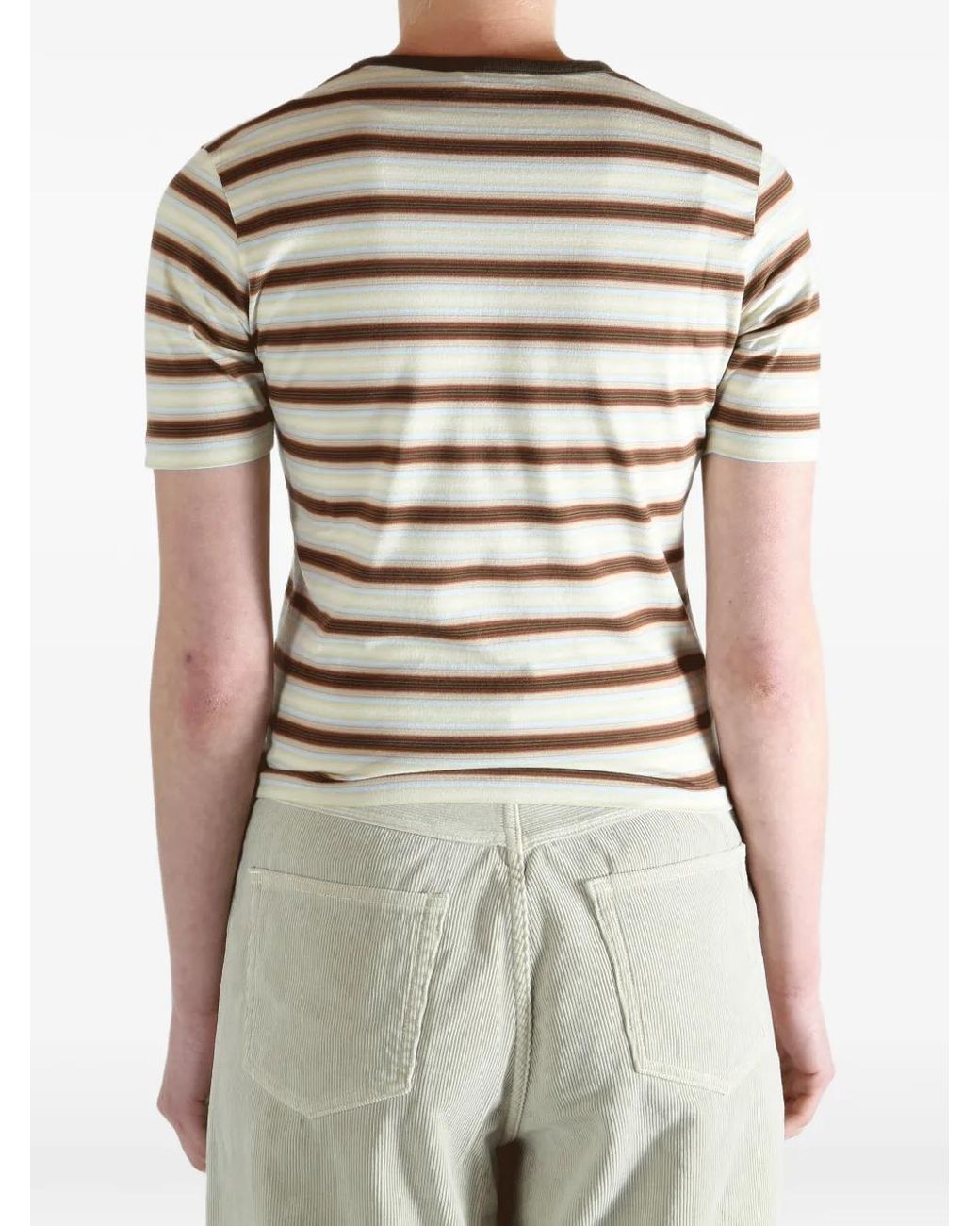 Auralee Brown Gradient Striped T-Shirt