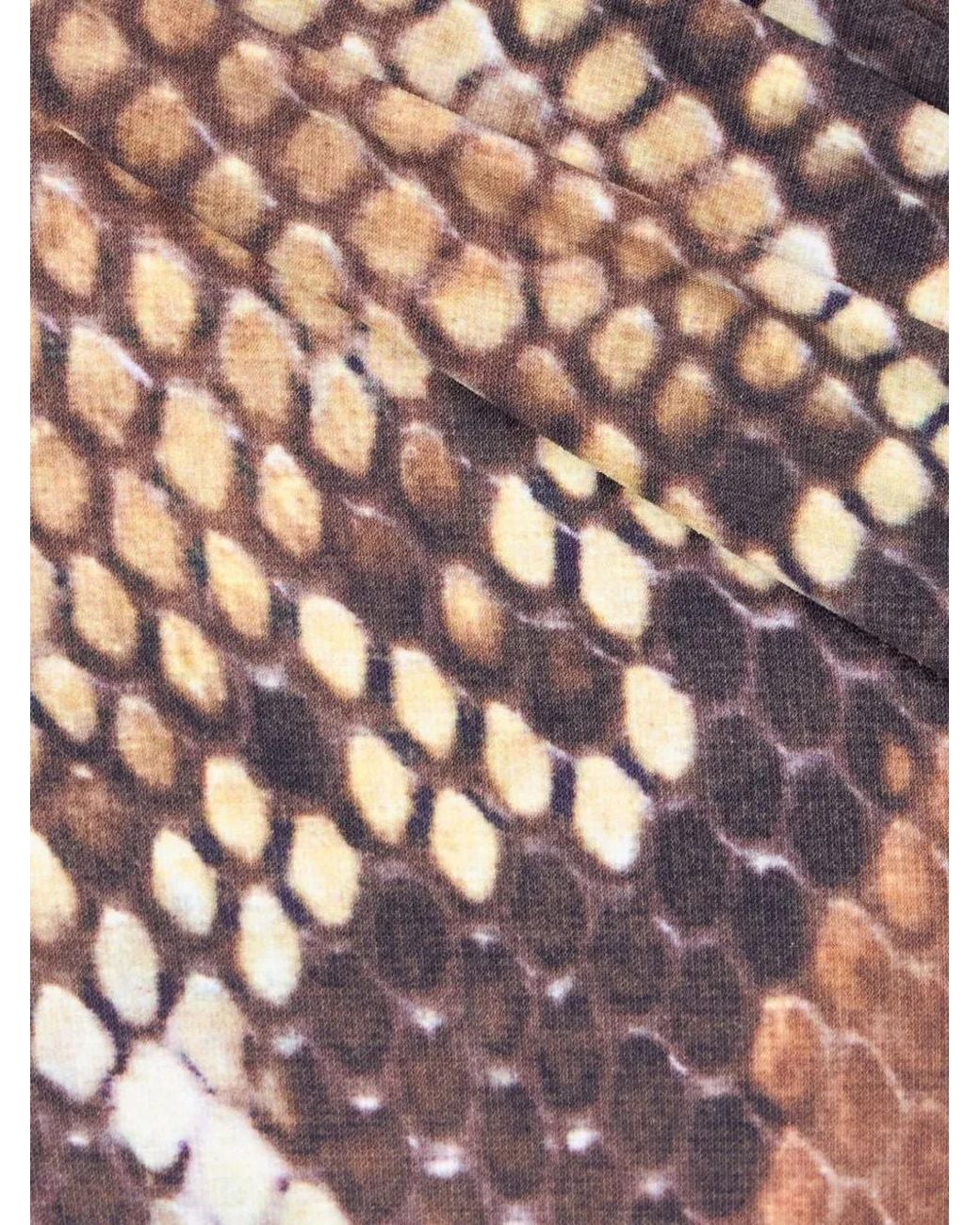 Roberto Cavalli Pink Snake-Print Swimsuit