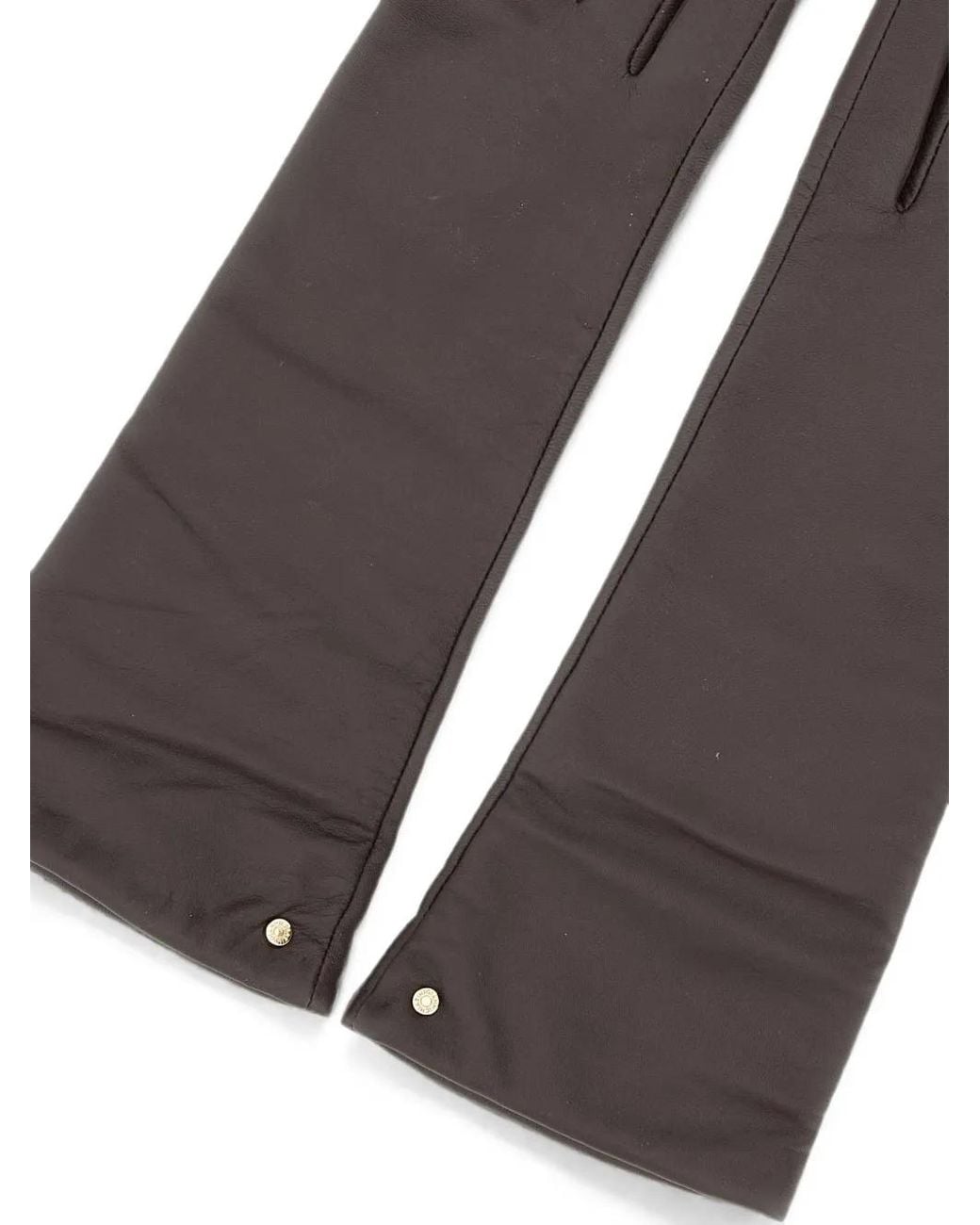 Gianni Chiarini Brown Logo-Rivet Gloves