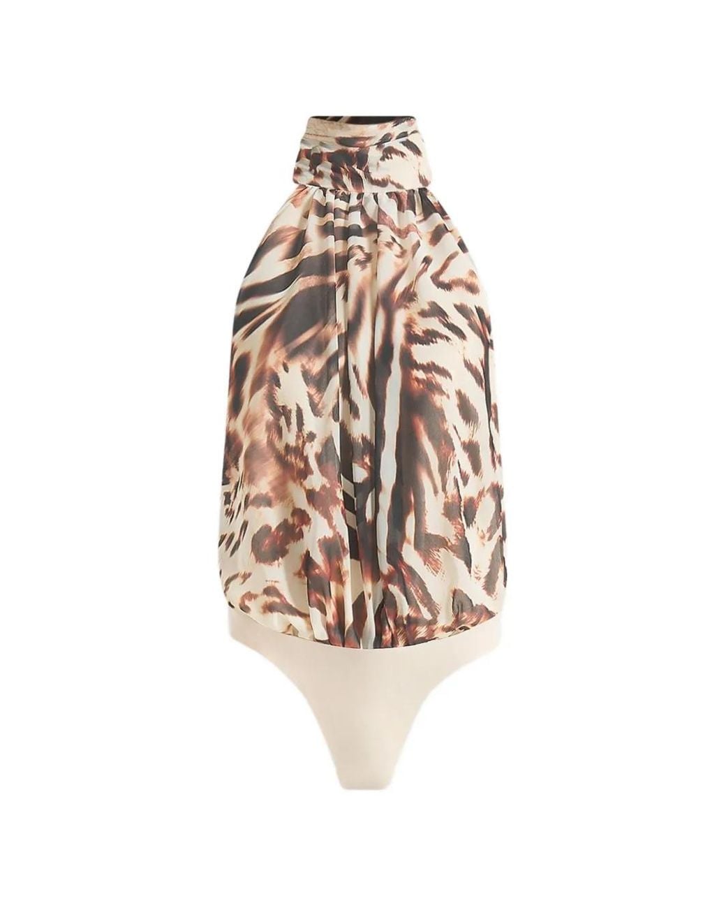 Manière De Voir White Phoebe