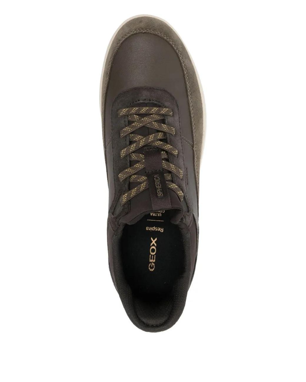 Geox Brown Spherica Plus Sneakers for men
