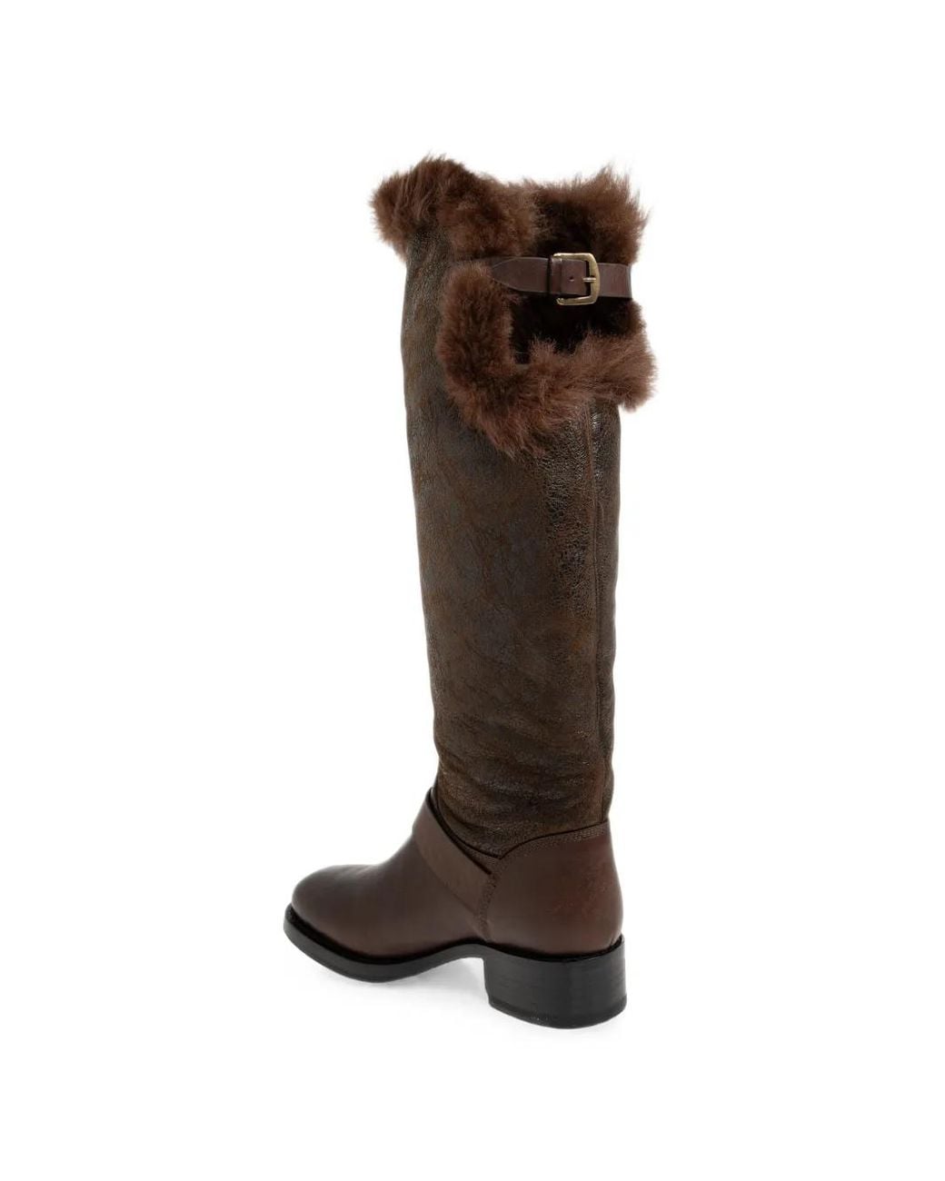 Stivali di DSquared² in Brown