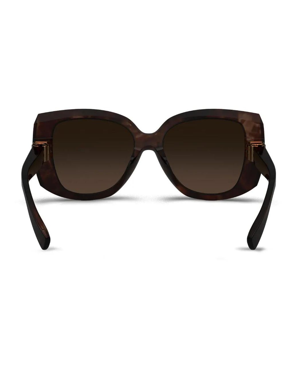 Dolce & Gabbana Brown Oversize-Frame Sunglasses