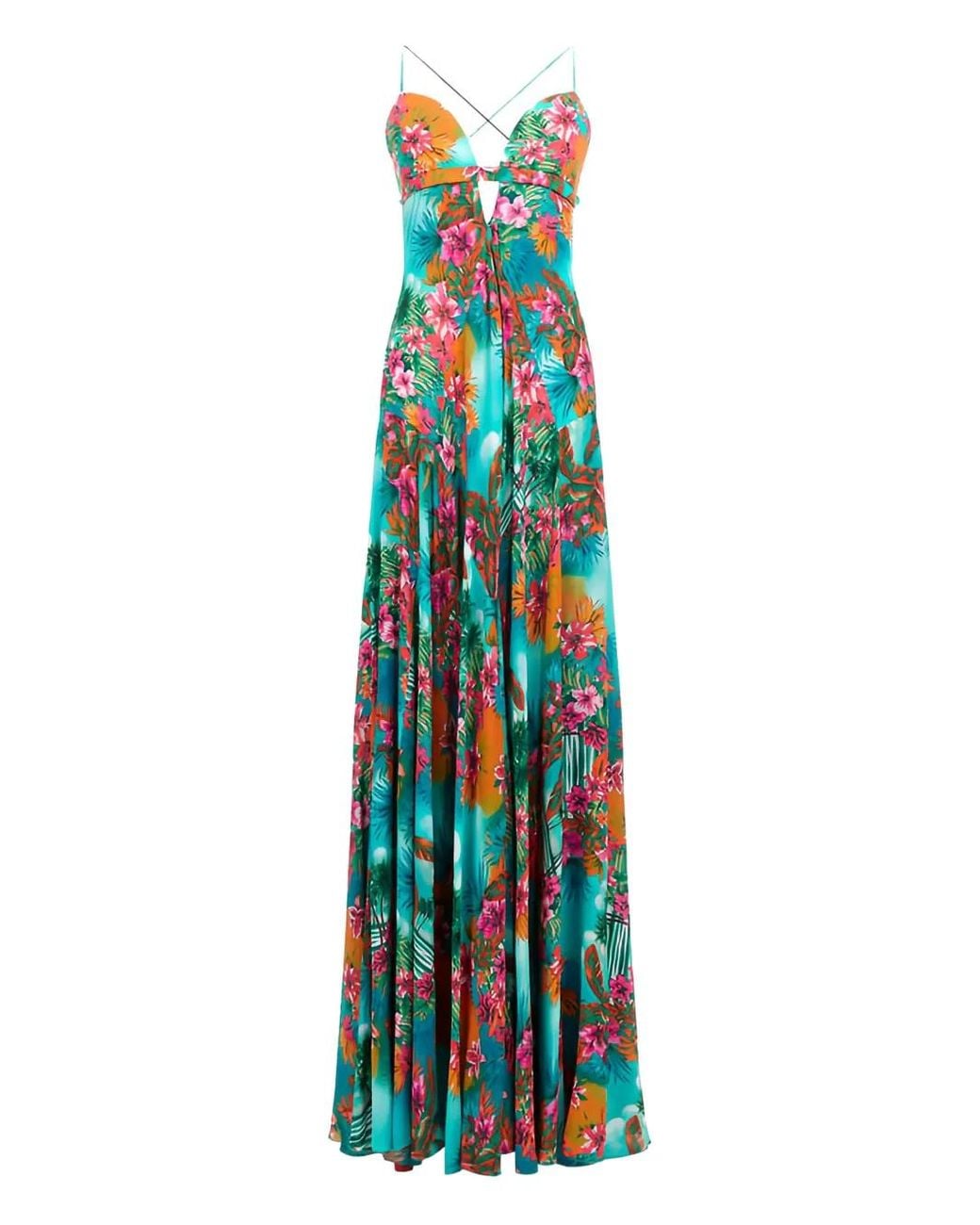 Roberto Cavalli Blue Sleeveless Floral-Print Maxi Dress