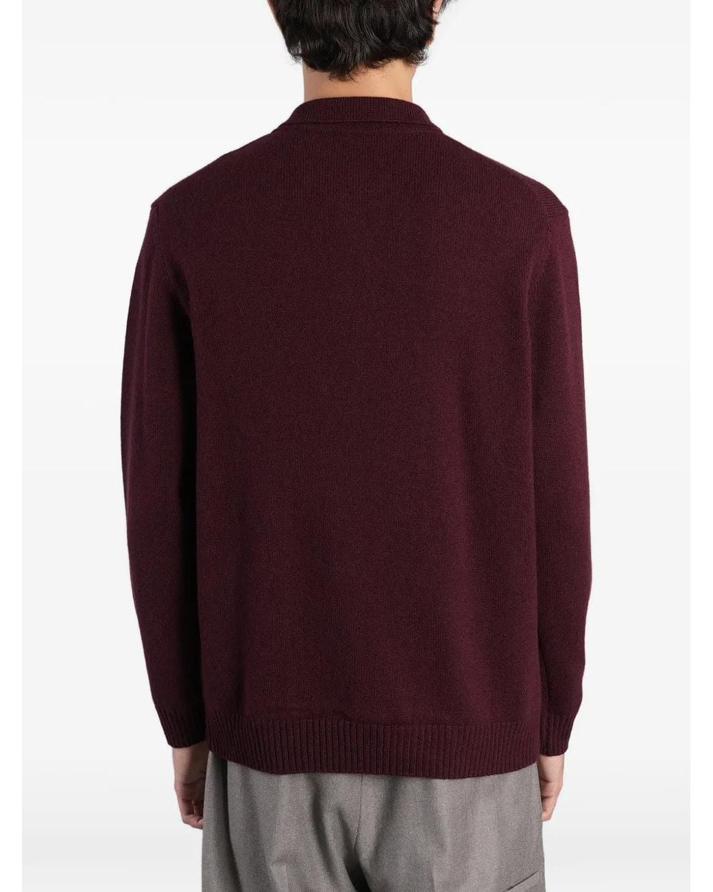 Grayed Purple Long-Sleeve Knitted Polo Shirt for men